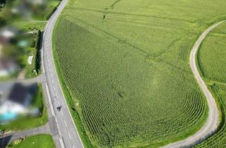Grundstück zu kaufen in 8421 Breitenfeld am Tannenriegel, Betriebsbaugrund 644M² in Breitenfeld am Tannenriegel - Idealer Standort!