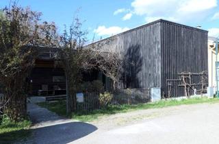 Haus kaufen in 2004 Niederhollabrunn, Großer moderner Holzbau