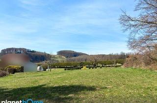 Grundstück zu kaufen in 3062 Kirchstetten, Grünlage mit Ausblick