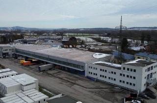 Lager kaufen in 4050 Traun, Ideale Logistikimmobilie in Traun/Linz zu Kaufen !