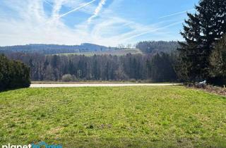 Grundstück zu kaufen in 3062 Kirchstetten, Grünlage mit Ausblick
