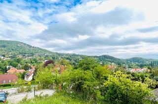 Penthouse kaufen in Gaadner Straße, 2371 Hinterbrühl, Luxus Investment Penthouse mit Dachterrasse