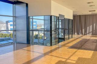 Büro zu mieten in Im Südpark, 4030 Linz, Lichtdurchflutete Büroflächen in Ruhiger Lage + Eigene Parkplätze Vorhanden! - in 4030 Linz zu Mieten