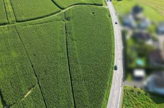 Grundstück zu kaufen in 8421 Breitenfeld am Tannenriegel, Betriebsbaugrund 1322M² in Breitenfeld am Tannenriegel - ihr Zukunftsstandort!