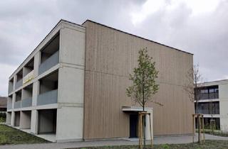 Wohnung mieten in 6973 Höchst, Neuwertige 3 Zimmerwohnung in Höchst