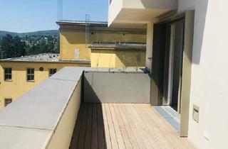 Wohnung mieten in 1130 Wien, ROSENHÜGEL, TERRASSEN-TRAUM IN SONNIGER RUHELAGE