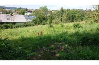 Grundstück zu kaufen in 4723 Natternbach, Großzügiges Baugrundstück in Natternbach