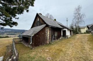 Gewerbeimmobilie kaufen in 9451 Preitenegg, Historische Schmiede im Ortskern von Preitenegg, Kärnten - vielseitig nutzbar!