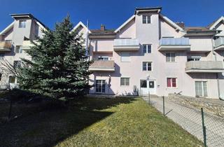 Wohnung kaufen in 2604 Theresienfeld, Charmante Gartenwohnung in Theresienfeld – klein, fein und mit eigenem Grünbereich