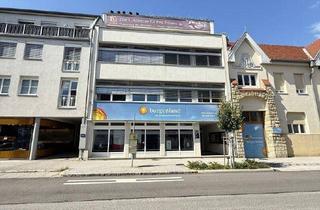 Wohnung mieten in Johann-Permayer-Straße 11, 7000 Eisenstadt, Helle ruhige Singelwohnung Nähe Landhaus Eisenstadt