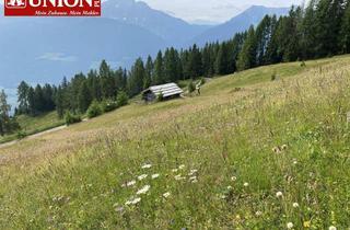 Grundstück zu kaufen in Oberberger Alm, 9771 Oberberg, Ein Logenplatz in den Bergen