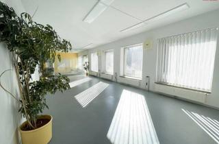 Büro zu mieten in Eibenstraße, 8790 Eisenerz, Barrierefreies Geschäftslokal: für Büro, Ordination, Studio, Lager!