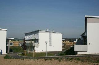 Maisonette mieten in 3382 Loosdorf, Familien-Maisonettetraum in Loosdorf