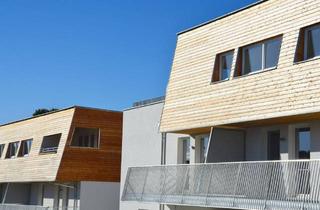 Wohnung mieten in Schulgasse 2d, 2115 Ernstbrunn, Ernstbrunn – schöne geförderte 2-Zimmerwohnung im Grünen