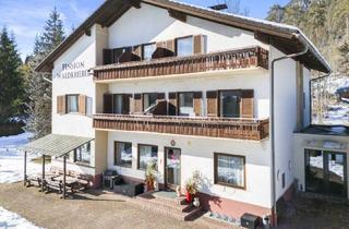 Gewerbeimmobilie kaufen in 9620 Presseggersee, Top-Investment Pressegger See: Pension mit 12 Zimmern + 4 Neubau-Apartments (2020)