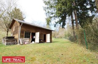 Grundstück zu kaufen in 4232 Hagenberg im Mühlkreis, sonniges Grünland eingebetet neben Bach und Wald