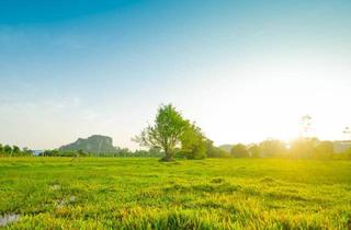 Grundstück zu kaufen in 6923 Lauterach, Für Ihre Familie - Kompaktes Baugrundstück am Naturschutzgebiet