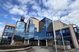 Büro zu mieten in 2340 Mödling, Repräsentatives Büro- und Gewerbeobjekt im Bezirk Mödling