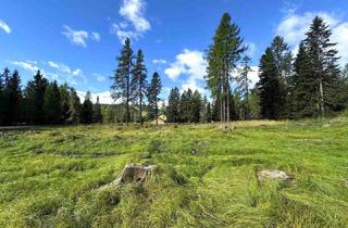 Grundstück zu kaufen in 9571 Sirnitz, Großzügiges Grundstück im reinen Kurgebiet in Albeck - Region Hochrindl.