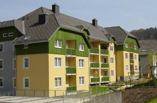 Wohnung mieten in H. Albrecht-Straße 9 Top 7, 3292 Gaming, Gaming, 3 Zimmer, 77 m² / [Telefonnummer entfernt]