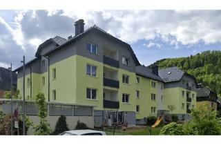 Wohnung mieten in Herzog Albrecht-Straße 11, 3292 Gaming, [Telefonnummer entfernt]-Zimmer-Wohnung in Gaming