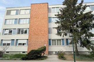 Wohnung kaufen in Südtstadt, 2344 Maria Enzersdorf, Sanierungsbedürftige 3-Zimmer-Wohnung in Ruhiger Grünlage der Südstadt
