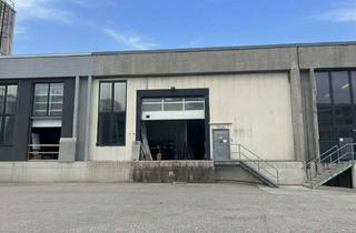 Gewerbeimmobilie mieten in 2514 Traiskirchen, Gewerbepark Traiskirchen! 900 m² Halle mit Rampe und ebenerdiger Einfahrt für Gabelstapler! € 6,90 inkl allg. BK/m² netto!