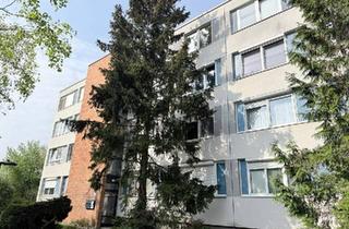 Wohnung kaufen in 2344 Maria Enzersdorf, Sanierungsbedürftige 3-Zimmer-Wohnung in ruhiger Grünlage der Südstadt