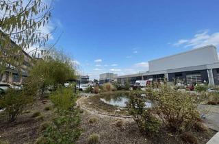 Gewerbeimmobilie mieten in 2514 Traiskirchen, 108 m² große Kellerflächen im Gewerbepark Traiskirchen zur Miete!