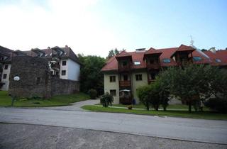 Wohnung mieten in 8103 Rein, 1-Zimmer-Wohnung mit Balkon