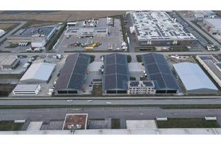 Büro zu mieten in 2542 Kottingbrunn, Moderner Logistik- und Bürostandort in Kottingbrunn