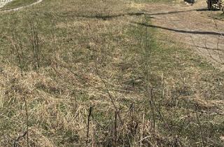 Grundstück zu kaufen in Kellergasse 183, 2103 Langenzersdorf, Rarität ! Attraktives, großzügiges Grundstück am Fuß des Bisambergs !