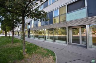 Geschäftslokal mieten in Erlaaer Platz, 1230 Wien, Geschäftsfläche – 310 m² am Erlaaer Platz