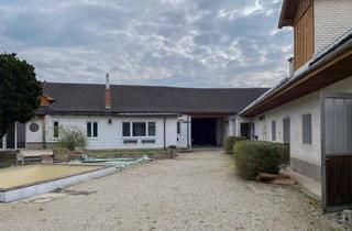 Haus kaufen in 2514 Traiskirchen, Liegenschaft mit viel Platz: Haus, Scheune & zahlreiche Nutzungsmöglichkeiten