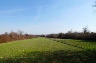 Grundstück zu kaufen in 7091 Breitenbrunn am Neusiedler See, SEEBLICK INVESTIEREN SIE IN IHRE ZUKUNFT