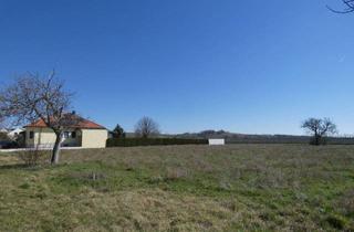 Grundstück zu kaufen in 7122 Gols, IDEAL FÜR BAUTRÄGER ORTSRANDLAGE