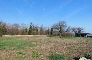 Grundstück zu kaufen in 7091 Breitenbrunn am Neusiedler See, NATURNAHES TRAUMGRUNDSTÜCK UNVERBAUBARER SEEBLICK