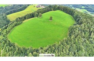 Gewerbeimmobilie kaufen in 4554 Oberschlierbach, TRAUM-BERG GRILLPARZ im Herzen des Kremstals zum Verkauf! Über der Nebelgrenze!