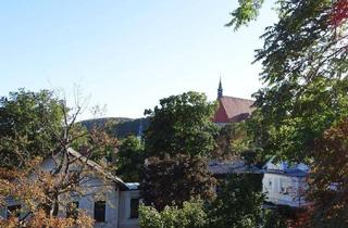 Wohnung mieten in 2340 Mödling, "Miete mit AUSBLICK!"