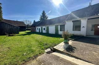 Bauernhäuser zu kaufen in 2185 Prinzendorf an der Zaya, Vielseitiges Bauernhaus auf großzügigem Grundstück in ruhiger Lage