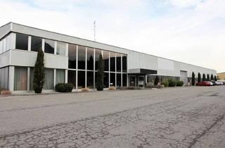 Büro zu mieten in Froschweg, 6850 Dornbirn, Büro- und Lagerflächen Top GR01