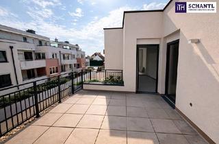 Wohnung kaufen in Steinachgasse, 1220 Wien, Eine Sonnenterrasse vom Feinsten. 3 Zimmer in Hofruhelage im Erstbezug! Ab Q3/26