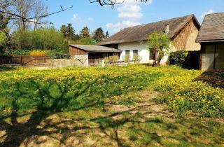 Bauernhäuser zu kaufen in Wiesengasse, 2544 Leobersdorf, Bauernhaus mit zwei Wohneinheiten + Nebengebäude!