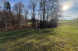 Grundstück zu kaufen in 4451 Garsten, Wohnen auf Höchstem Niveau, Kein Bauzwang- Südhang in Ruhelage mit Zentrumsnähe
