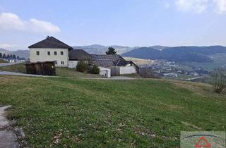 Bauernhäuser zu kaufen in 4153 Peilstein im Mühlviertel, Kleiner BAUERNHOF mit 12 HEKTAR oder weniger!