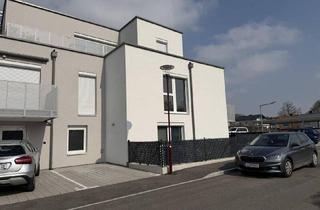 Wohnung mieten in Kardinal König-Straße, 3508 Paudorf, Moderne 2-Zi -Wohnung mit Garten