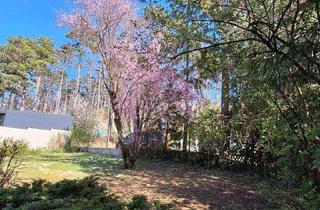 Einfamilienhaus kaufen in 2130 Mistelbach, Verträumte Gartenidylle mit älterem Einfamilienhaus Renovierungsbedarf