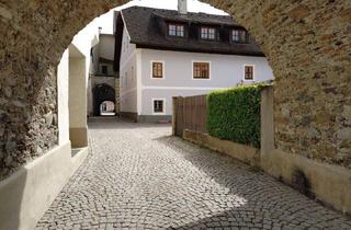 Haus kaufen in 9853 Gmünd, Wohn- und Geschäftshaus in der Künstlerstadt Gmünd in Kärnten
