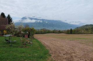 Grundstück zu kaufen in Kirschnerstraße 2a, 9161 Maria Rain, Maria Rain - Kärnten