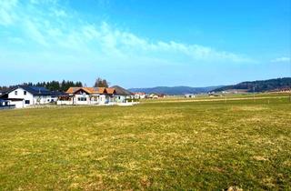 Grundstück zu kaufen in 5231 Schalchen, RÜCKZUGSORT-Grundstück ohne Bauzwang in Schalchen